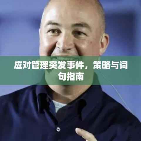应对管理突发事件,策略与词句指南