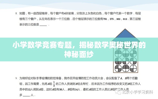 小学数学竞赛专题,揭秘数学奥秘世界的神秘面纱