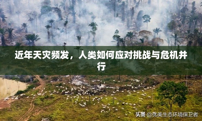近年天灾频发,人类如何应对挑战与危机并行