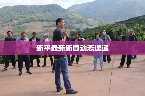 新平最新新闻动态速递