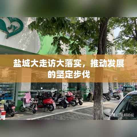 盐城大走访大落实，推动发展的坚定步伐