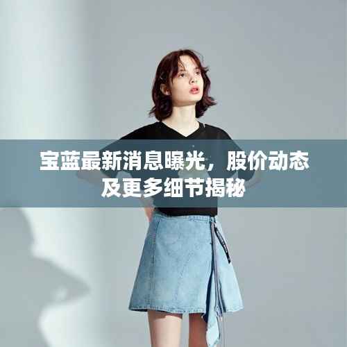 宝蓝最新消息曝光，股价动态及更多细节揭秘