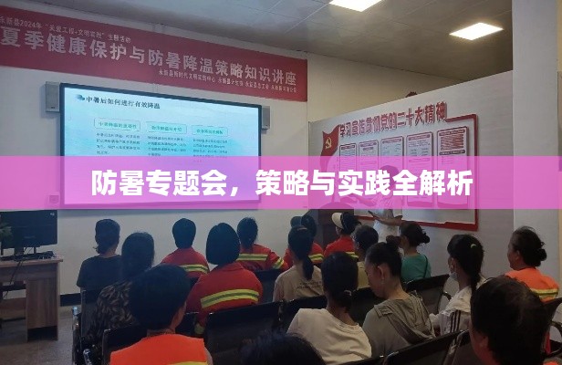防暑专题会,策略与实践全解析