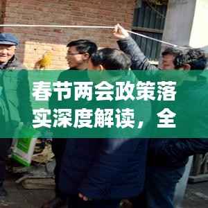 春节两会政策落实深度解读，全面梳理实施进展与成效