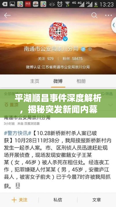 平湖顺昌事件深度解析,揭秘突发新闻内幕