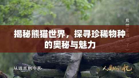 贵冠履轻头足 第4页