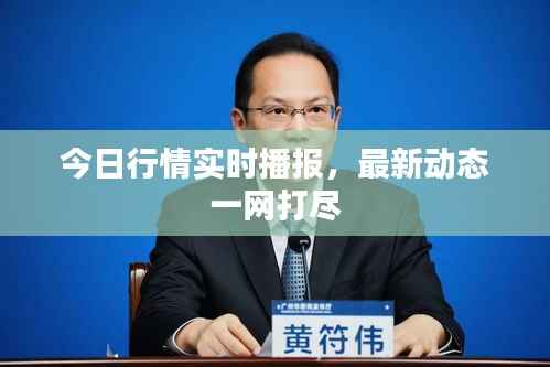 今日行情实时播报，最新动态一网打尽