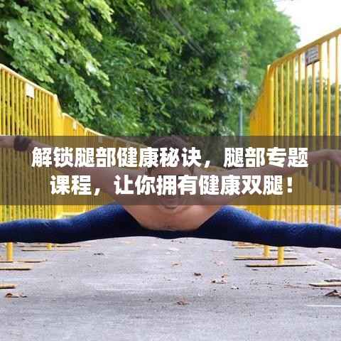 解锁腿部健康秘诀，腿部专题课程，让你拥有健康双腿！
