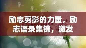 励志剪影的力量,励志语录集锦,激发无限潜能!