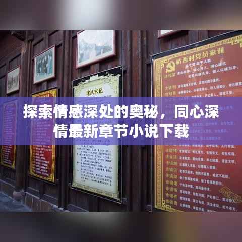 探索情感深处的奥秘，同心深情最新章节小说下载