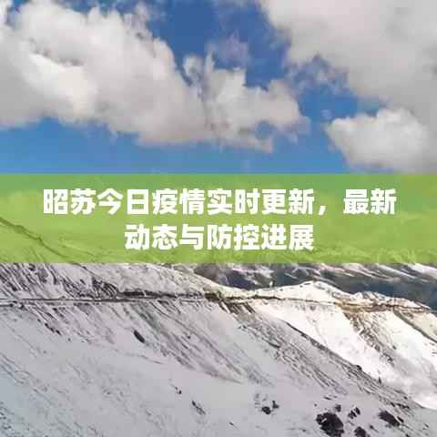 昭苏今日疫情实时更新，最新动态与防控进展