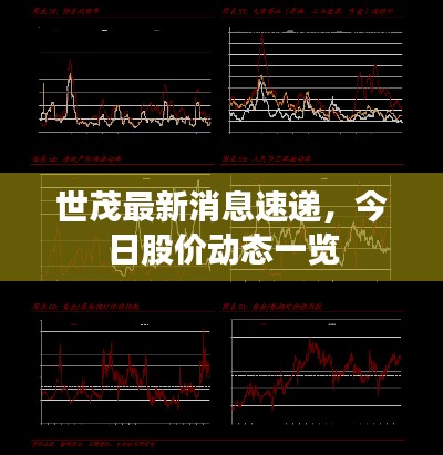 世茂最新消息速递,今日股价动态一览