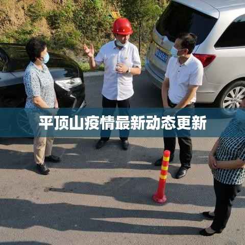 平顶山疫情最新动态更新