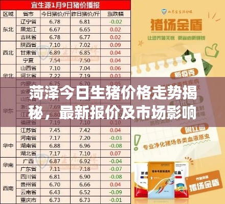 菏泽今日生猪价格走势揭秘，最新报价及市场影响因素分析