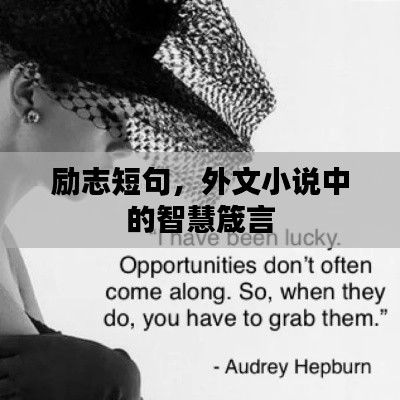 励志短句，外文小说中的智慧箴言