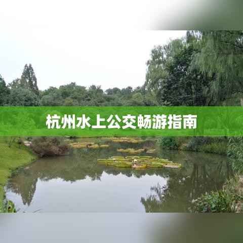 杭州水上公交畅游指南