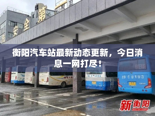 衡阳汽车站最新动态更新，今日消息一网打尽！