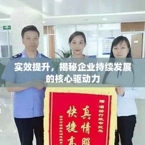 实效提升，揭秘企业持续发展的核心驱动力