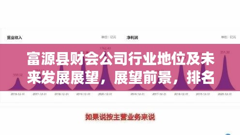 富源县财会公司行业地位及未来发展展望，展望前景，排名显赫