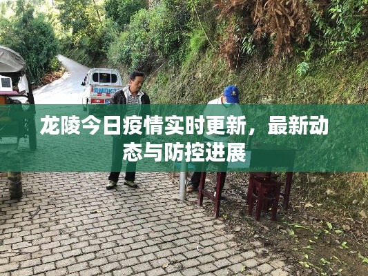 龙陵今日疫情实时更新，最新动态与防控进展