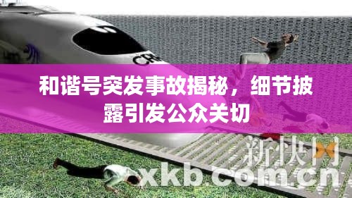 和谐号突发事故揭秘，细节披露引发公众关切