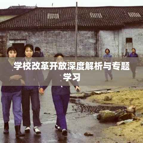 学校改革开放深度解析与专题学习