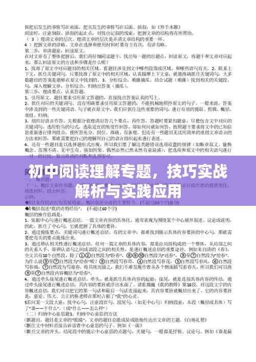 初中阅读理解专题，技巧实战解析与实践应用