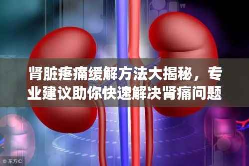肾脏疼痛缓解方法大揭秘，专业建议助你快速解决肾痛问题