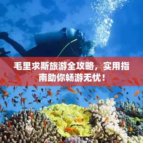 毛里求斯旅游全攻略,实用指南助你畅游无忧!