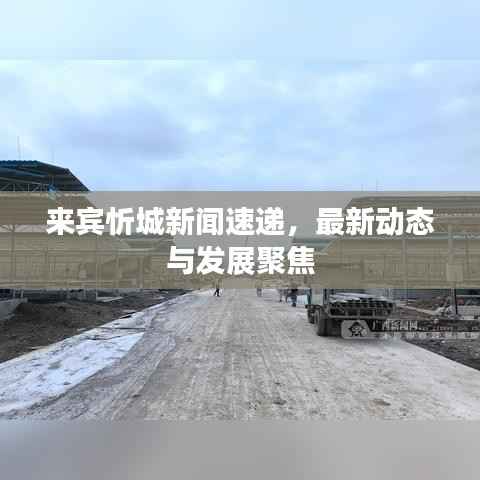 来宾忻城新闻速递，最新动态与发展聚焦