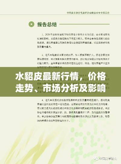 水貂皮最新行情，价格走势、市场分析及影响因素探讨