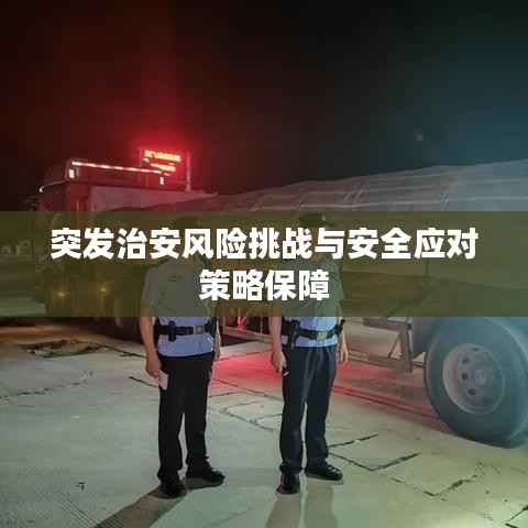 突发治安风险挑战与安全应对策略保障