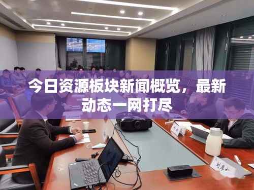 今日资源板块新闻概览,最新动态一网打尽