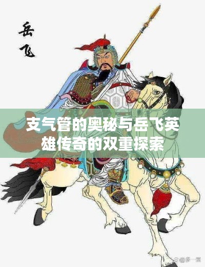 支气管的奥秘与岳飞英雄传奇的双重探索