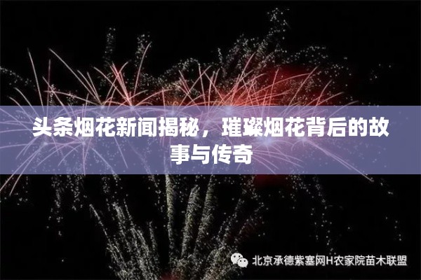 头条烟花新闻揭秘，璀璨烟花背后的故事与传奇