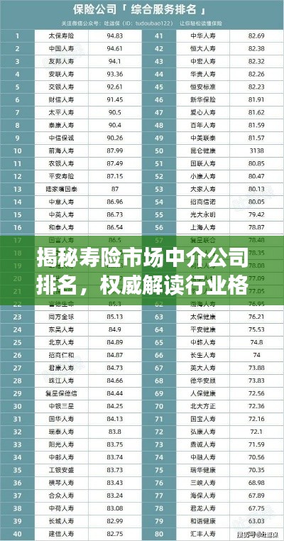 揭秘寿险市场中介公司排名,权威解读行业格局与力量!
