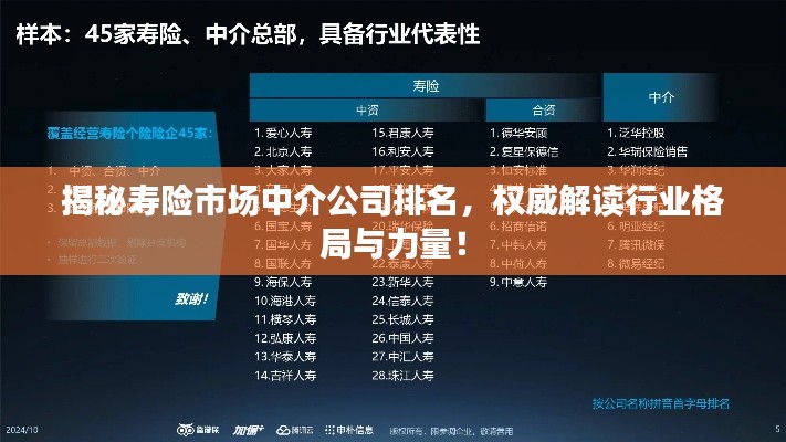 揭秘寿险市场中介公司排名,权威解读行业格局与力量!