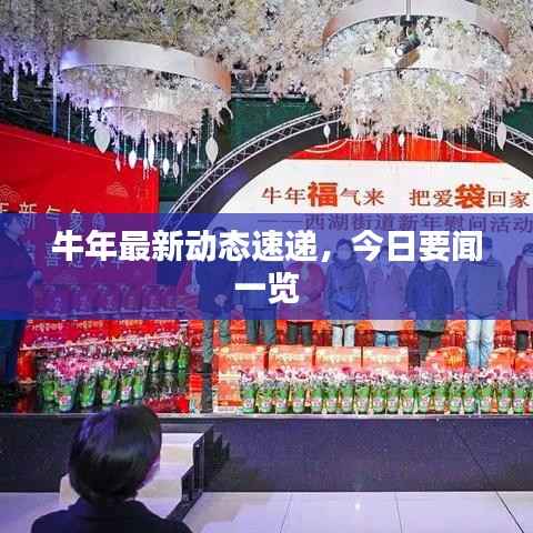 牛年最新动态速递,今日要闻一览