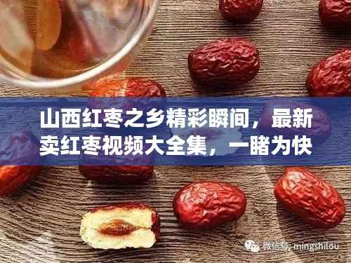 山西红枣之乡精彩瞬间，最新卖红枣视频大全集，一睹为快！