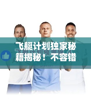 飞艇计划独家秘籍揭秘!不容错过的攻略指南!