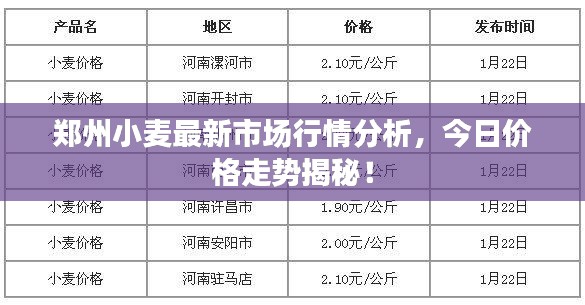 郑州小麦最新市场行情分析，今日价格走势揭秘！