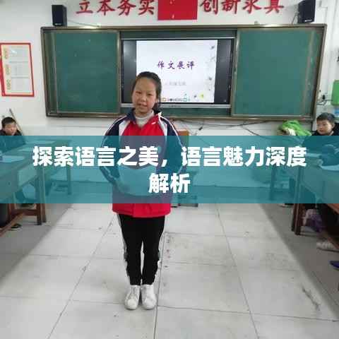 探索语言之美,语言魅力深度解析