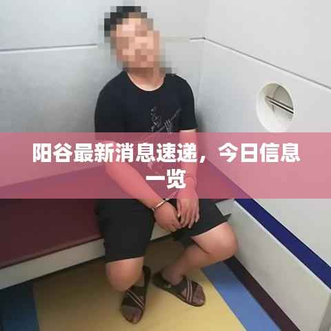 阳谷最新消息速递，今日信息一览