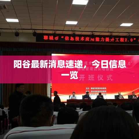 阳谷最新消息速递,今日信息一览