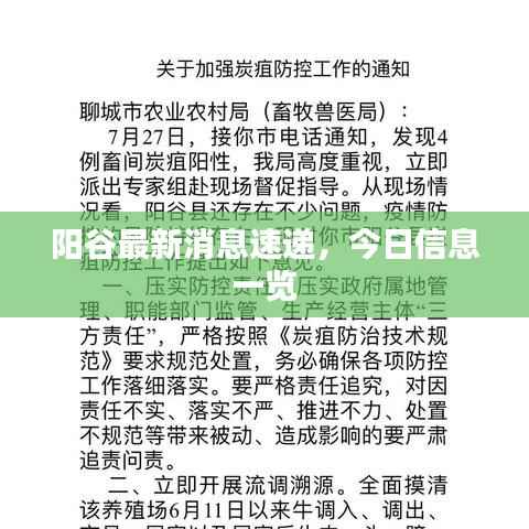 阳谷最新消息速递,今日信息一览