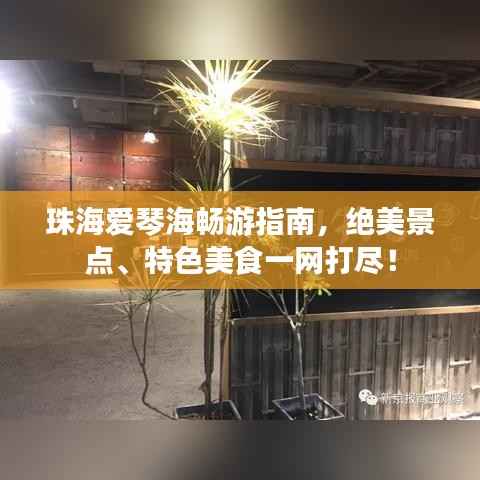珠海爱琴海畅游指南,绝美景点、特色美食一网打尽!