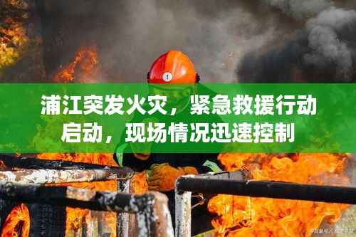 浦江突发火灾，紧急救援行动启动，现场情况迅速控制