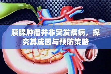 胰腺肿瘤并非突发疾病,探究其成因与预防策略