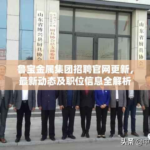 鲁宝金属集团招聘官网更新，最新动态及职位信息全解析