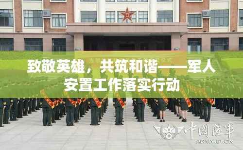 致敬英雄,共筑和谐——军人安置工作落实行动